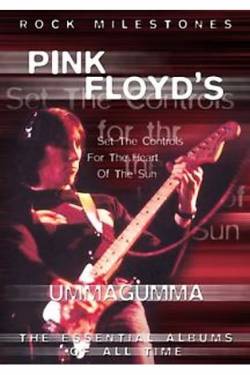 Pink Floyd : Pink Floyd's Ummagumma